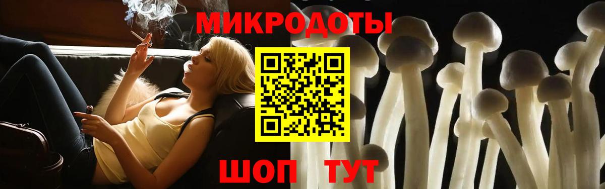 Зеленодольск  Галлюциногенные грибы Psilocybe  Вход с VPN 